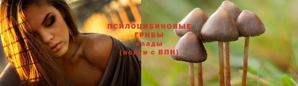 мяу мяу мука Балабаново